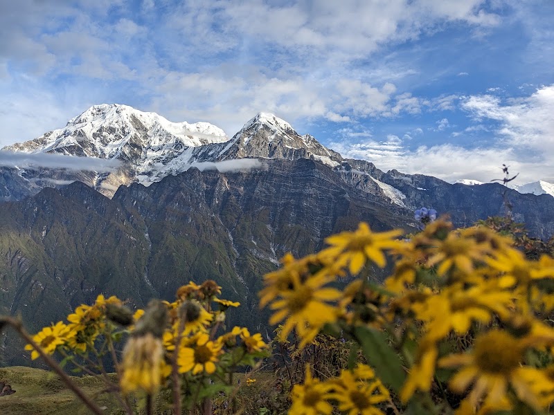 Mardi Himal Trek - Mardi Himal Trek Lwang Ghalel 33700, Nepal