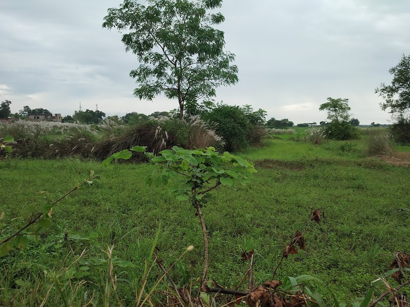 Laikera Bus Stop - Laikera Bus Stop, V6R7+864, Laikera Rd, Laikera, Odisha 768215, India