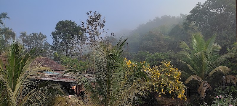 The MINIGO Home Stay ( म्हसकर - पेंडसे बाग ) - The MINIGO Home Stay ( म्हसकर - पेंडसे बाग ), Vanand Gaav Rd, Loware Wadi, Vanand, Maharashtra 415712, India
