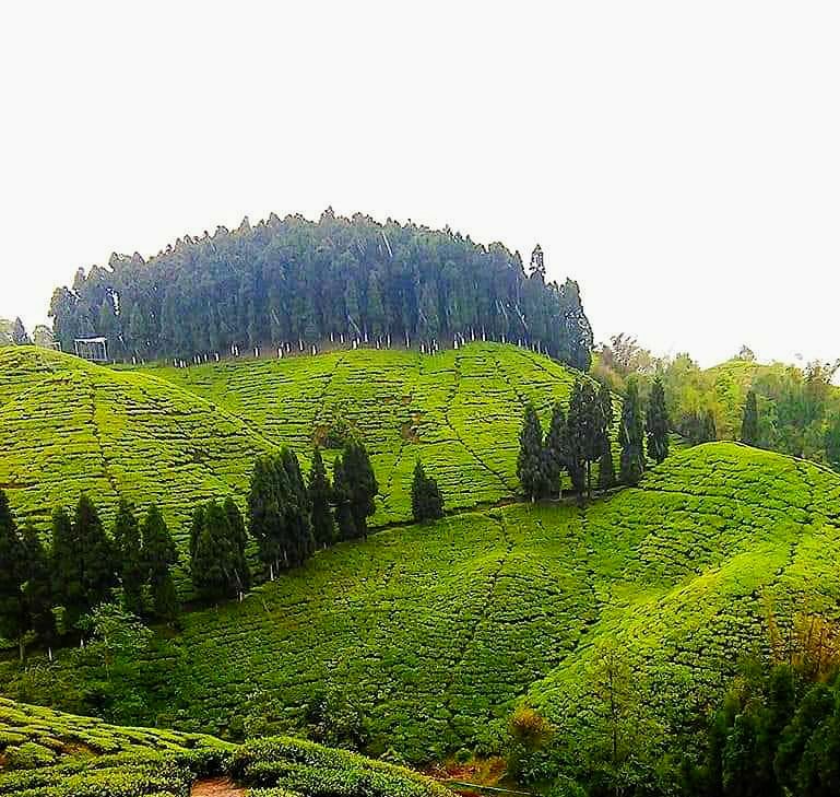 Chetla - Chetla, Kolkata, West Bengal, India
