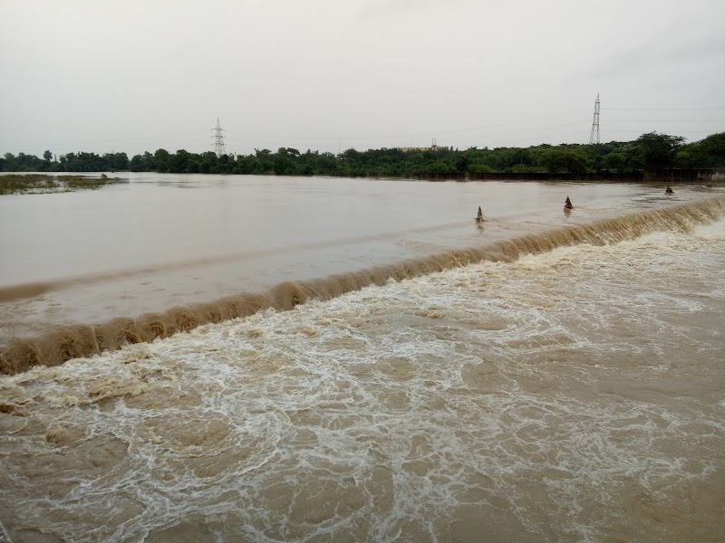 Do Muhani Aniket - Do Muhani Aniket, Domuhani, Chhattisgarh, India