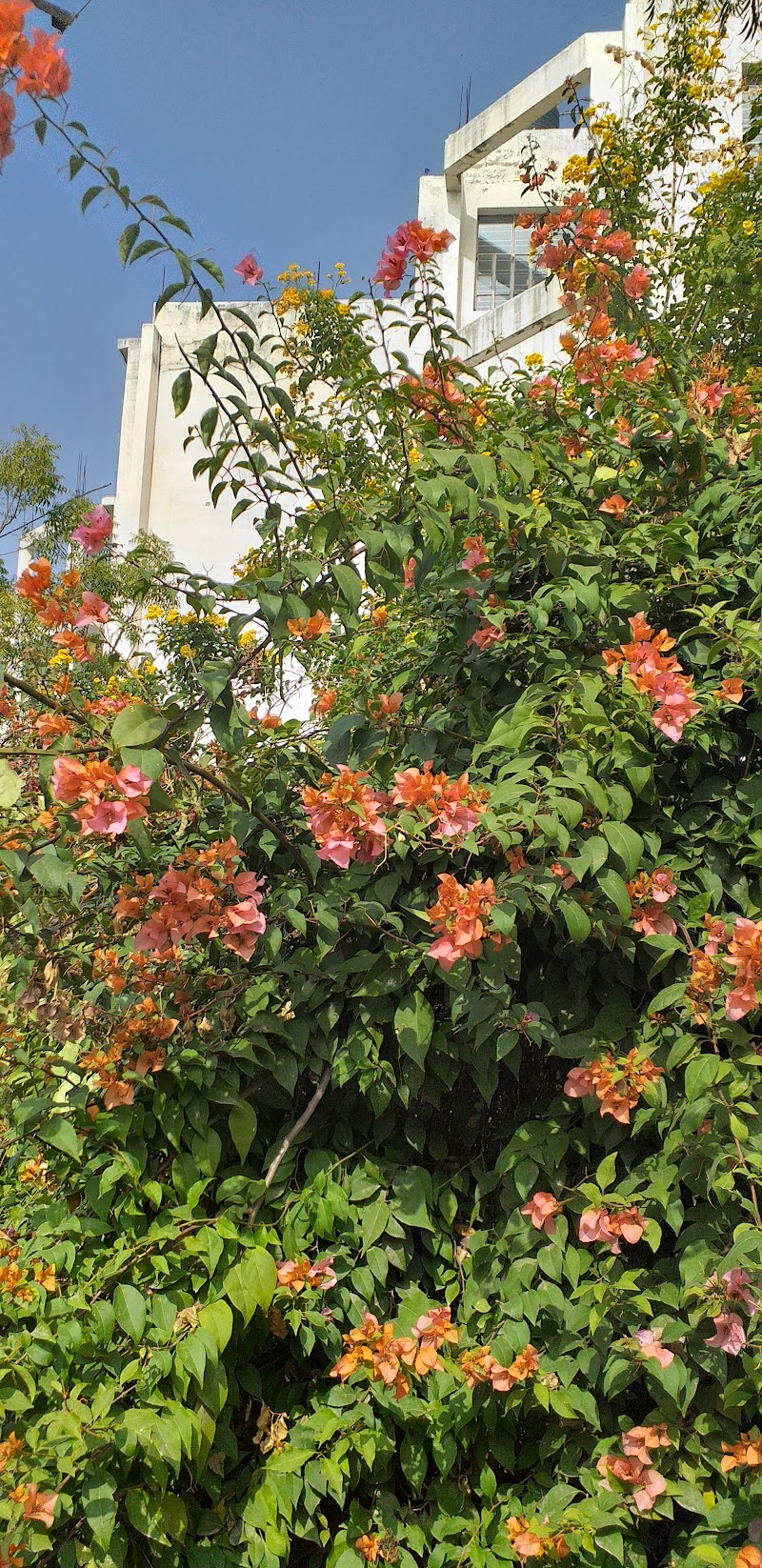 Pratap Nagar - Pratap Nagar, Jaipur, Rajasthan, India