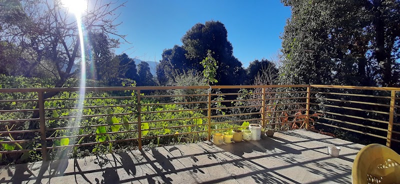 Sunrise Homestay