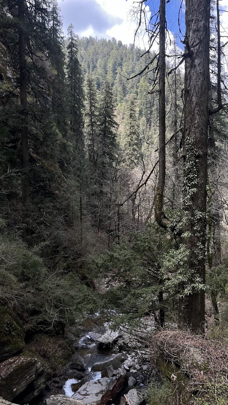 Shoja Waterfall Track Starting Point - Shoja Waterfall Track Starting Point, NH305, Sajwar, Himachal Pradesh 175123, India