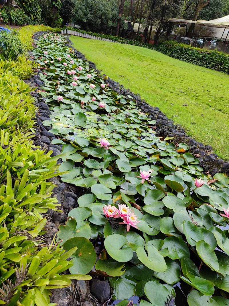 Mapro Garden - Mapro Garden 15/1B, Gureghar, Panchgani - Mahabaleshwar Rd, Mahabaleshwar, Gureghar, Maharashtra 412806, India