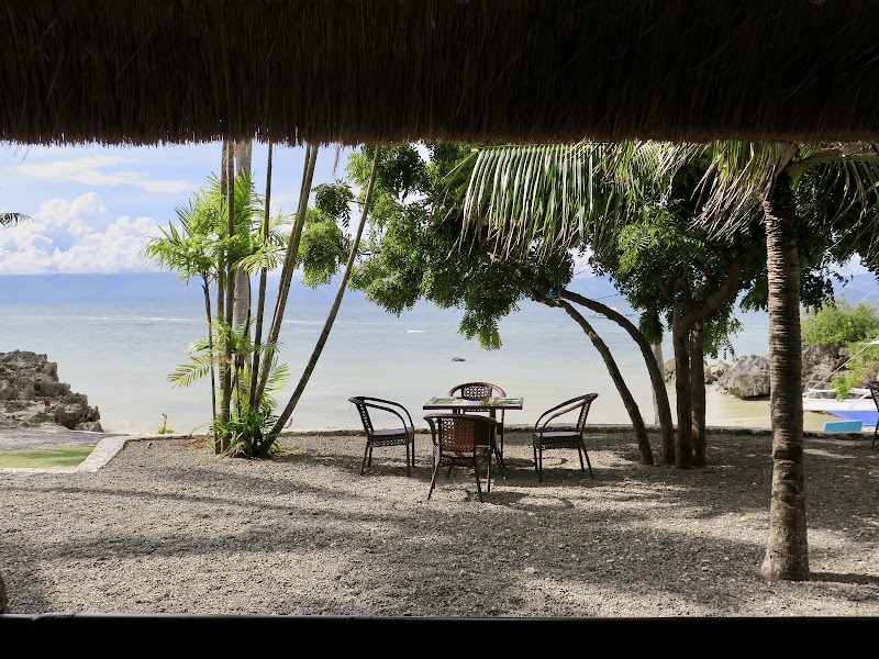 The Wild Orchid Resort - The Wild Orchid Resort The Wild Orchid Resort, Saavedra, Moalboal, Cebu, Philippines