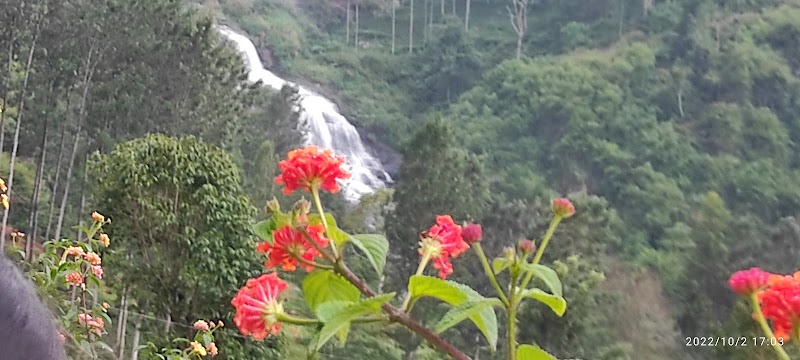 Uyilatty water falls view point - Uyilatty water falls view point FRFM+MC, Unnamed Road, Kukkal, Tamil Nadu 643217, India