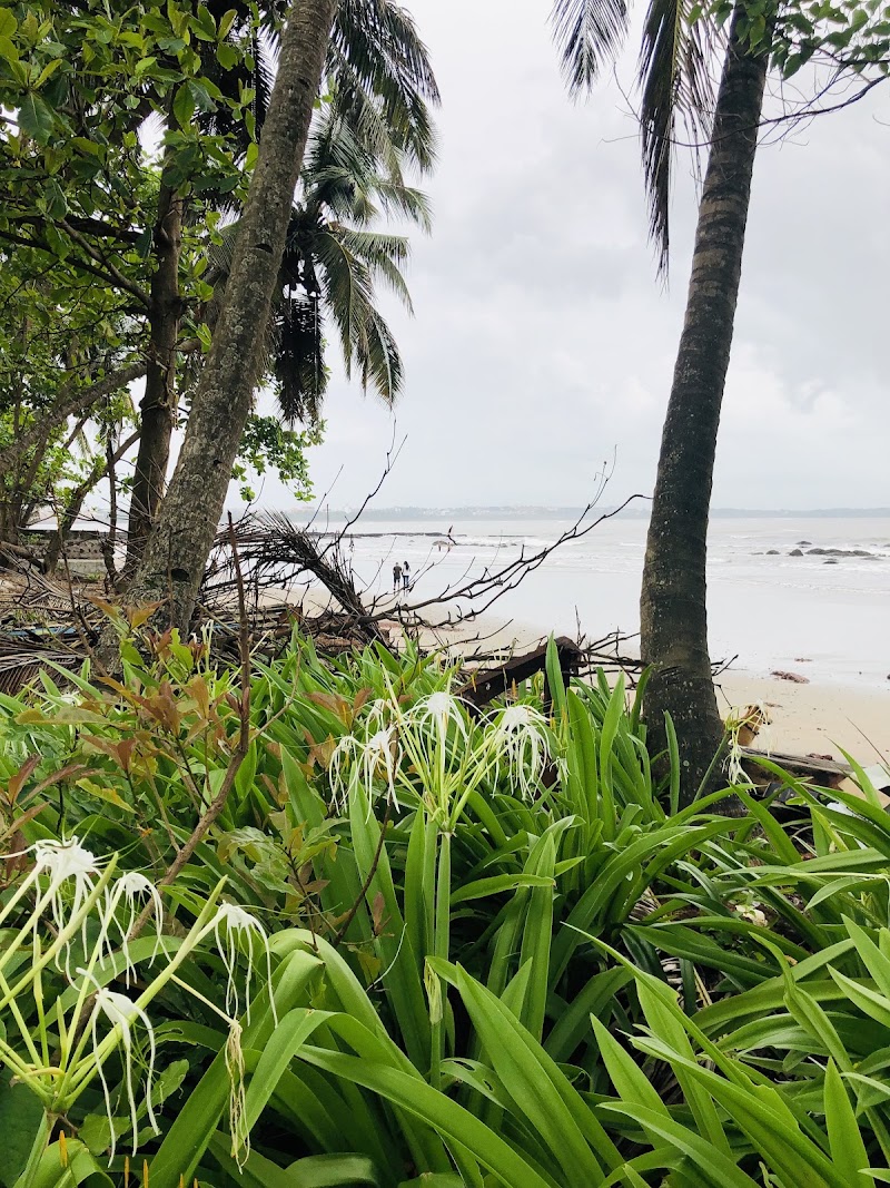 Quegdevelim Beach - Quegdevelim Beach Mandovi River, FRW4+9MQ, Reis Magos, Goa 403001, India
