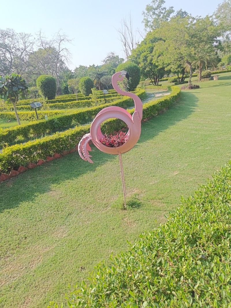 Chandigarh Bird Park - Chandigarh Bird Park Infront of the Lake Sports Club entry, near Rock Garden of Chandigarh, Rock Garden of Chandigarh, Sector 1, Chandigarh, 160001, India
