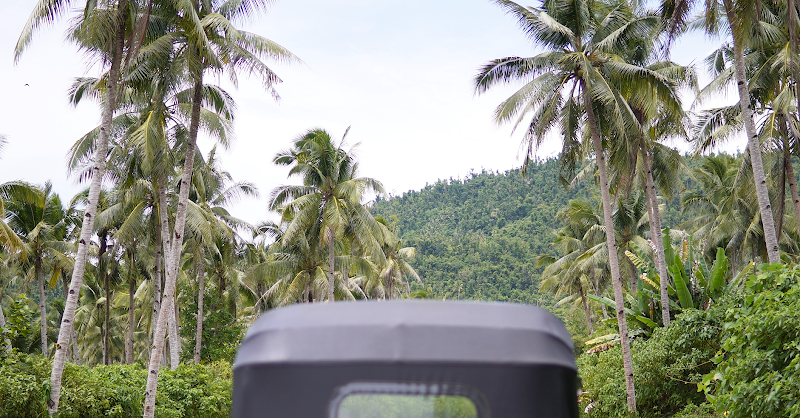 Coconut Road - Coconut Road, R383+RWW, Siargao Circumferential Rd, Pilar, Surigao del Norte, Philippines
