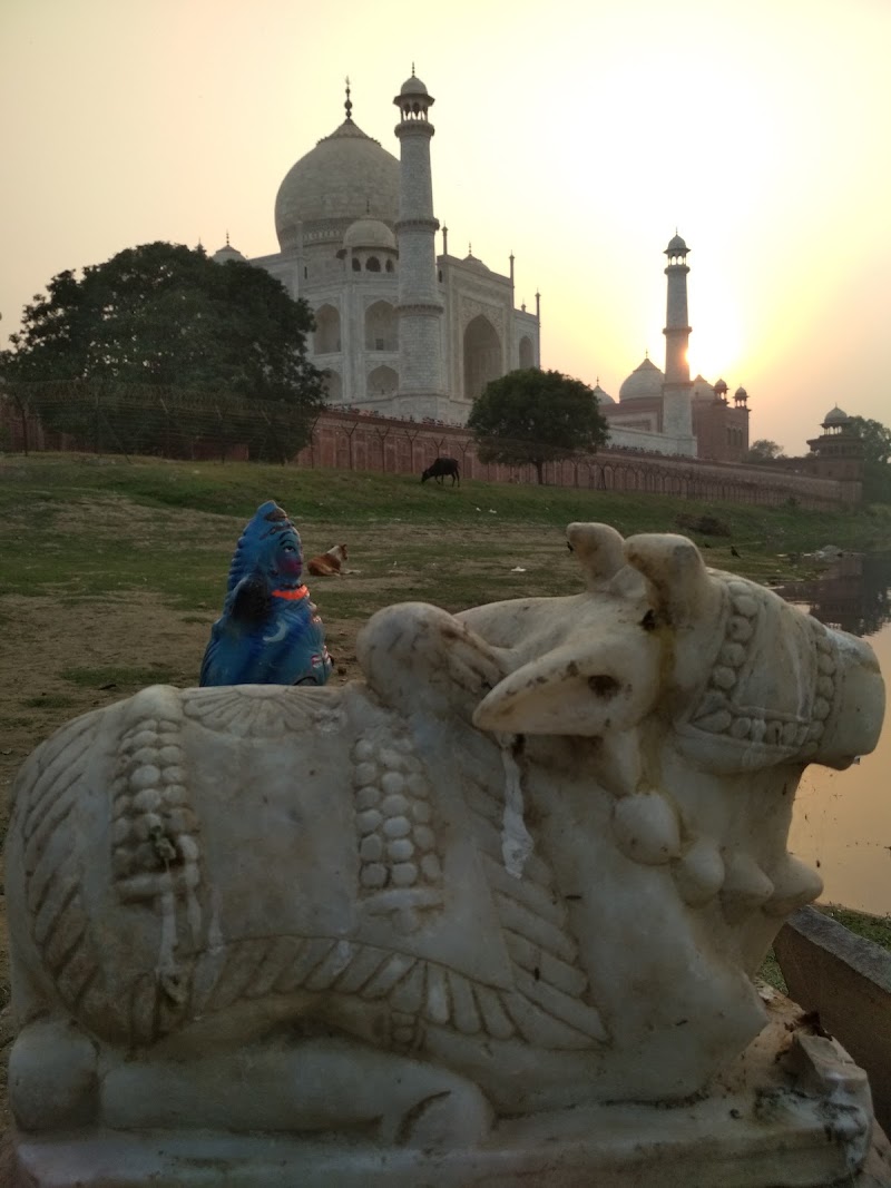 Agra By Bike ( Bicycle Tour company ) - Agra By Bike ( Bicycle Tour company ), Shop 2, Taj East Gate Rd, near Taj Nature Walk, Forest Colony, Tajganj, Agra, Uttar Pradesh 282001, India