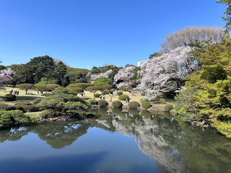 Shinjuku Gyoen National Garden - Shinjuku Gyoen National Garden 11 Naitōmachi, Shinjuku City, Tokyo 160-0014, Japan