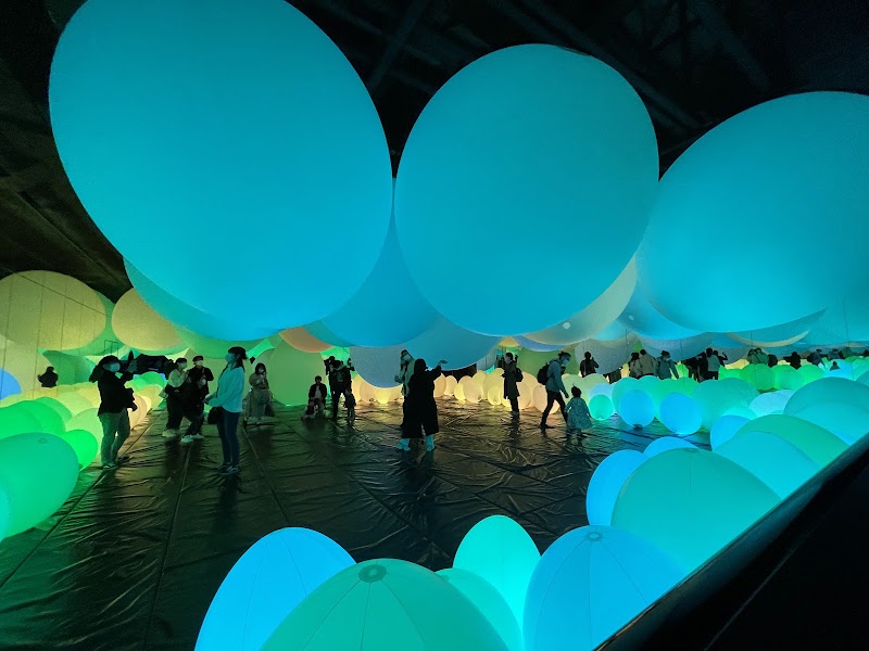 teamLab Borderless: MORI Building DIGITAL ART MUSEUM - teamLab Borderless: MORI Building DIGITAL ART MUSEUM Japan, 〒106-0041 Tokyo, Minato City, Toranomon, 5-chōme−9−９ Azabudai Hills Garden Plaza B, B1