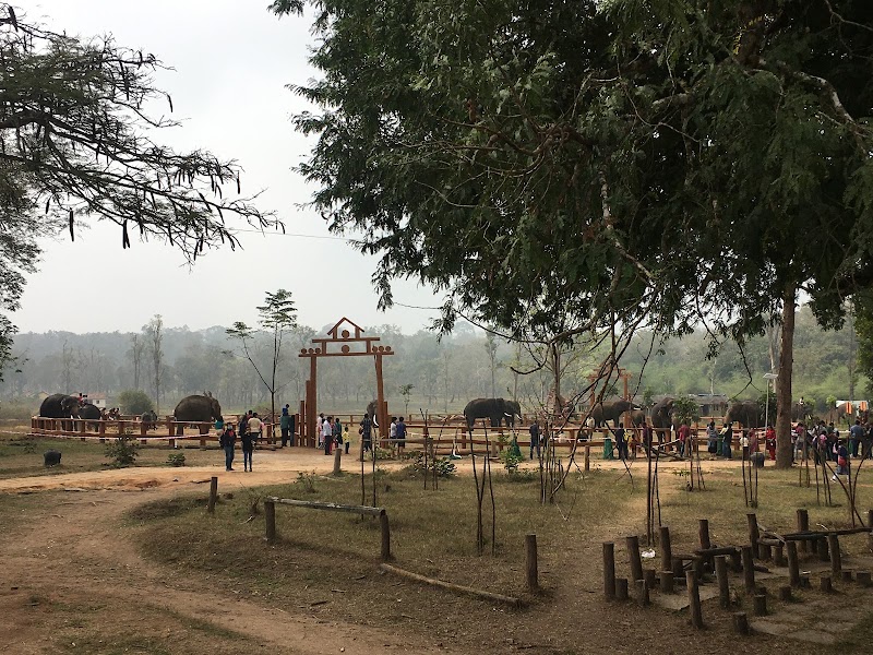 Booking Office of Coorg Dubare Elephant camp - Booking Office of Coorg Dubare Elephant camp Tourism House, 2nd Floor, Papanna Lane, No.8, St Mark's Rd, Shanthala Nagar, Ashok Nagar, Bengaluru, Karnataka 560001, India