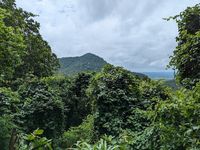 Gandhamardana Hill Reserve - Gandhamardana Hill Reserve, VRFV+226, Mahul Pali, Odisha, India
