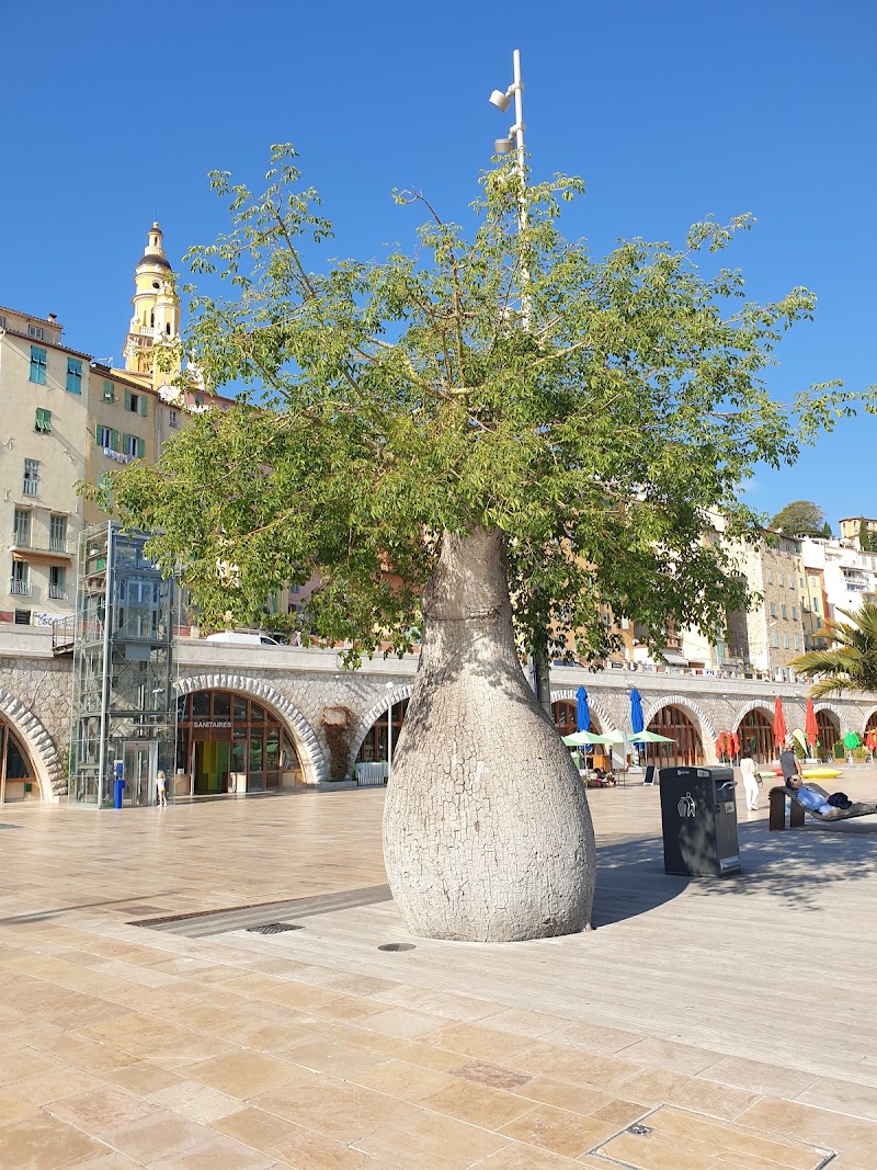 Vieux Port de Menton - Vieux Port de Menton Quai Napoléon III, 06500 Menton, France