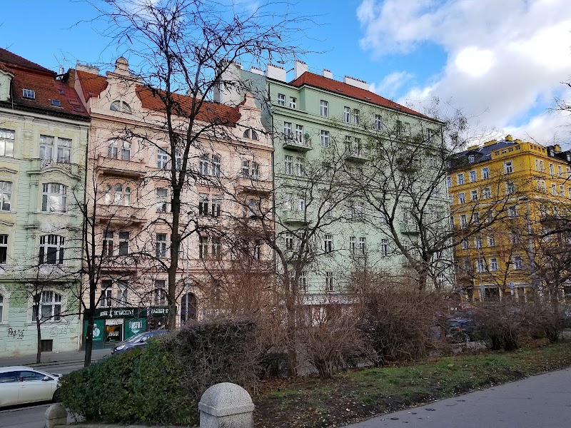 Sady Svatopluka Čecha - Sady Svatopluka Čecha Vinohrady, 120 00 Praha 2, Czechia