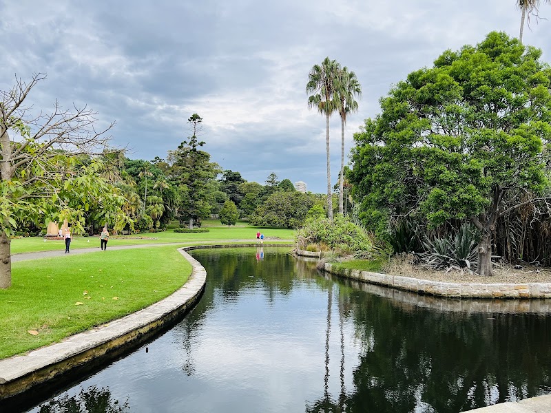 Royal Botanic Garden Sydney - Royal Botanic Garden Sydney, Mrs Macquaries Rd, Sydney NSW 2000, Australia
