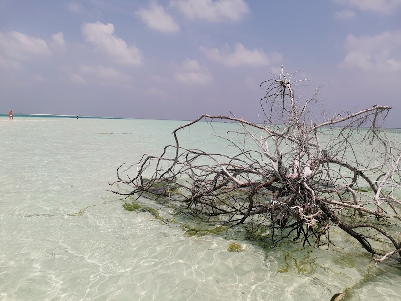 Sandbank Rasdhoo - Sandbank Rasdhoo, 7292+VG, Rasdhoo, Maldives