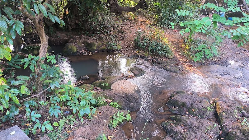 Zariwada Spring Cortali - Zariwada Spring Cortali 647V+QGF, Kotarli, Goa 403704, India