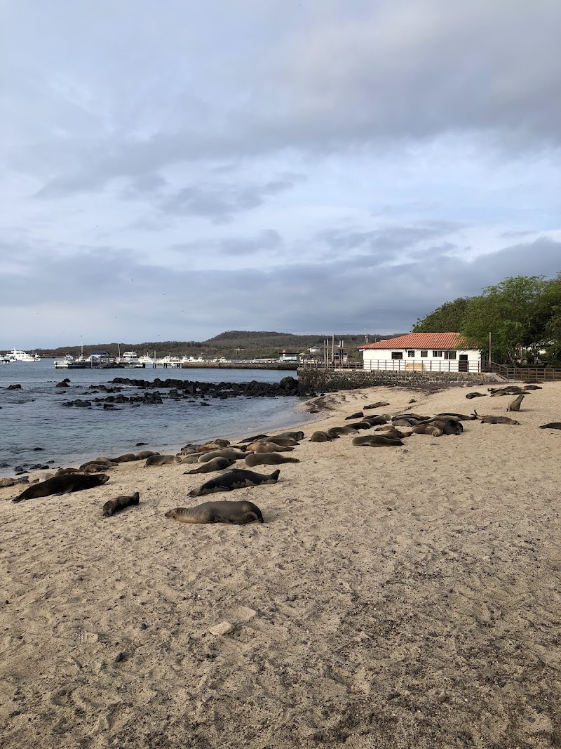 Playa de los Marinos - Playa de los Marinos, 39WP+XM4, Av. de la Armada Nacional, Puerto Baquerizo Moreno, Ecuador