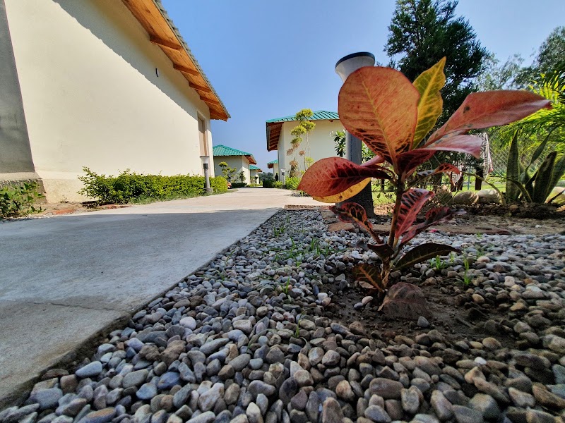The Tiger Claw Resort - The Tiger Claw Resort Village Dhela, Ramnagar, Dhela, Uttarakhand 244715, India