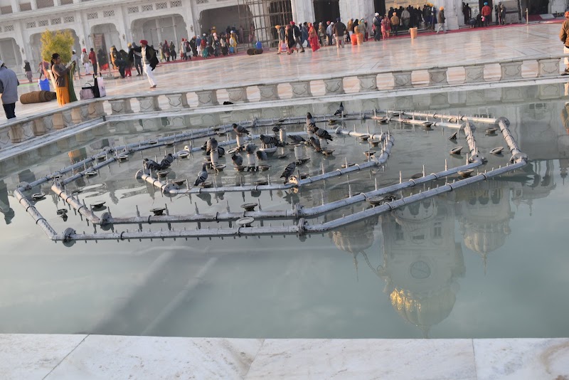 Golden Temple Road - Golden Temple Road, Golden Temple Rd, Atta Mandi, Katra Ahluwalia, Amritsar Cantt., Punjab 143006, India