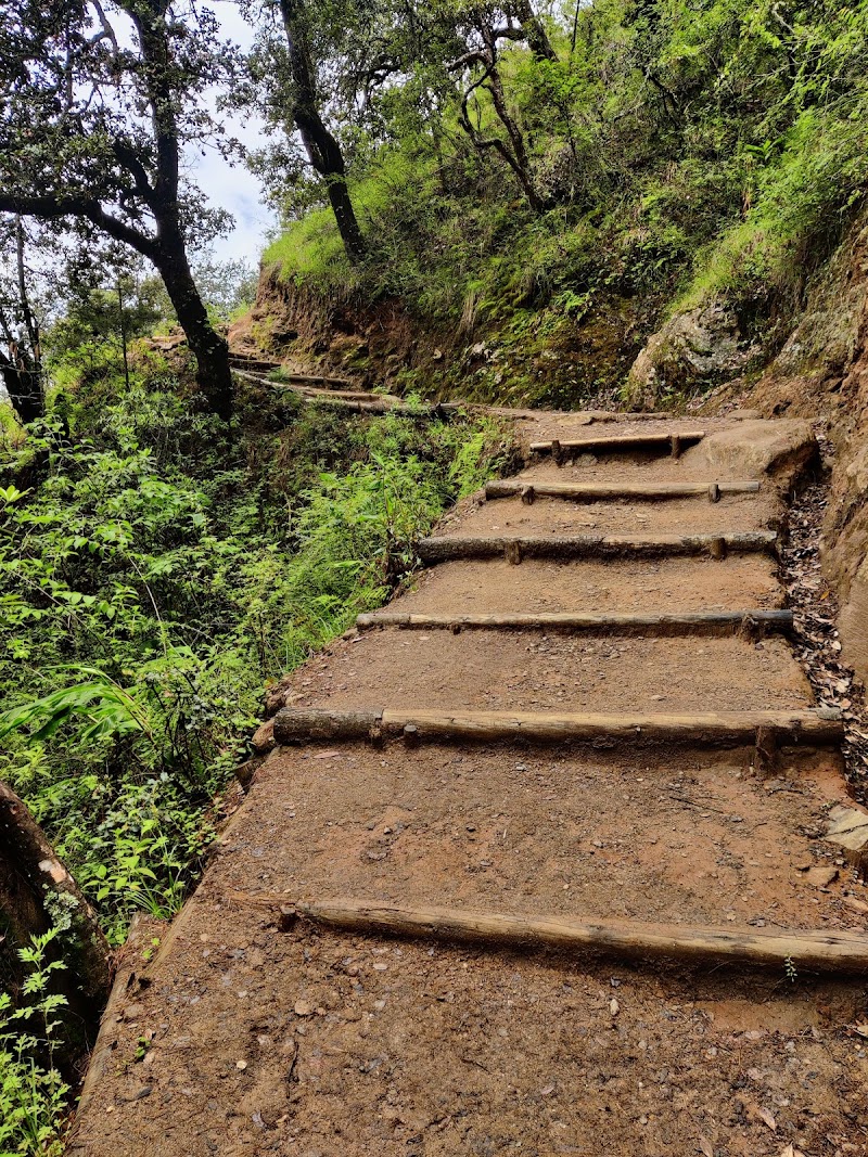 Taktsang Trail - Taktsang trail, Bhutan