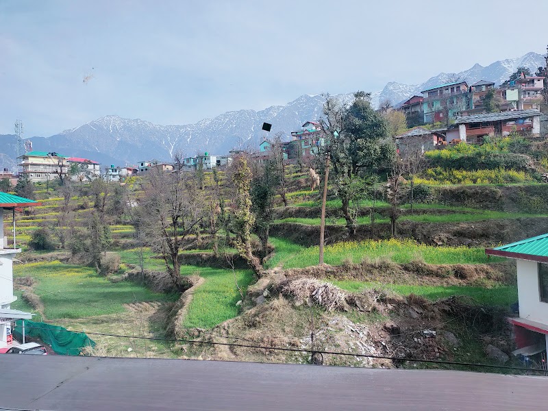 McLeod Ganj - McLeod Ganj McLeod Ganj, Dharamshala, Himachal Pradesh, India