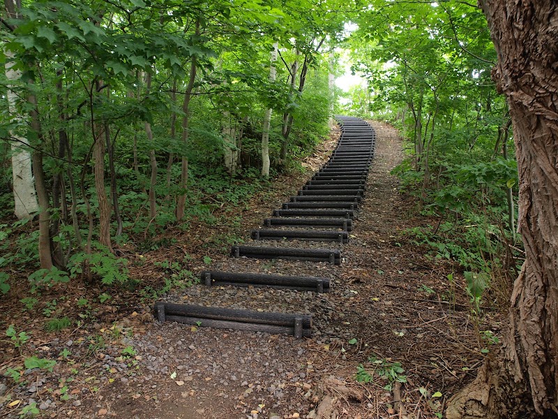Miyanomori Ryokuchi Park