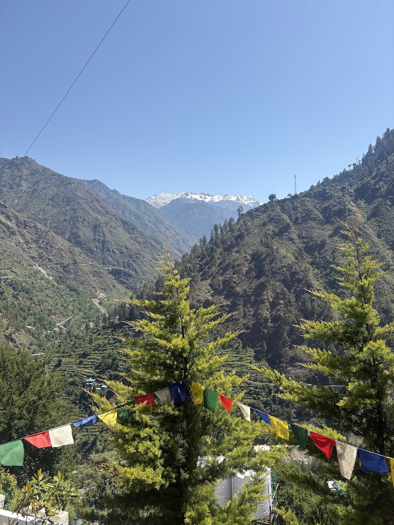 The Social Stays Tirthan - The Social Stays Tirthan, Gushaini, Himachal Pradesh, India, 175123 Gurshaini, Sharchi, Himachal Pradesh 175123, India