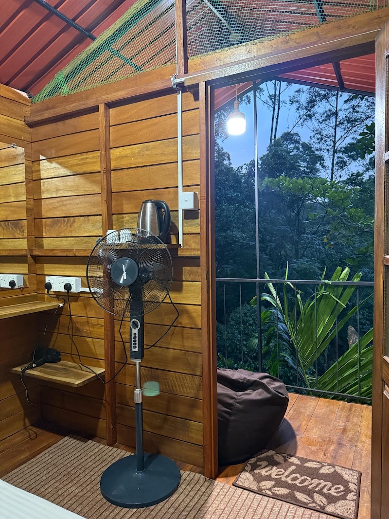 Ella jungle inn homestay &Tree house - Ella jungle inn homestay &Tree house, Ella - Passara Rd, Ella 90090, Sri Lanka