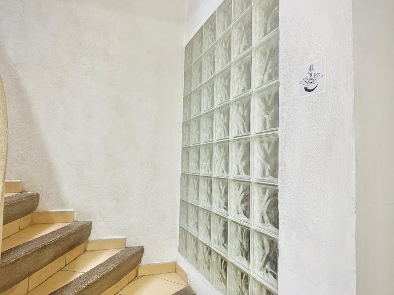 Masaje SPA Relajante en la Condesa y Roma - Spacio Tara - Masaje SPA Relajante en la Condesa y Roma - Spacio Tara, Av Sonora 91-Int 202, Centro Urbano Pdte. Juárez, Roma Nte., Cuauhtémoc, 06700 Ciudad de México, CDMX, Mexico