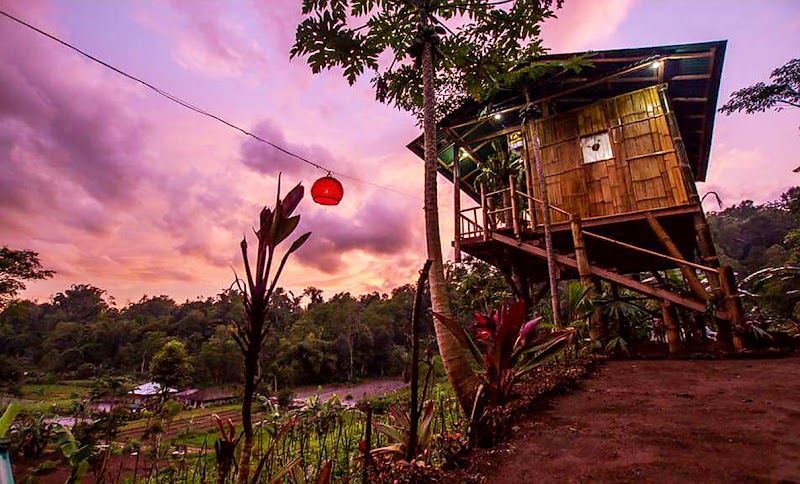 Bali Tree House Pelangi - Bali Tree House Pelangi M5RC+CP4, Baturiti, Tabanan Regency, Bali 82161, Indonesia