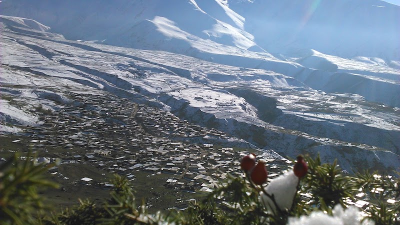 سوئیت دربستی ملازاده