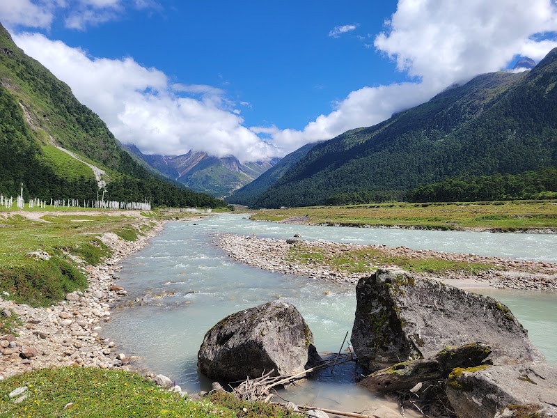 Yumthang Valley