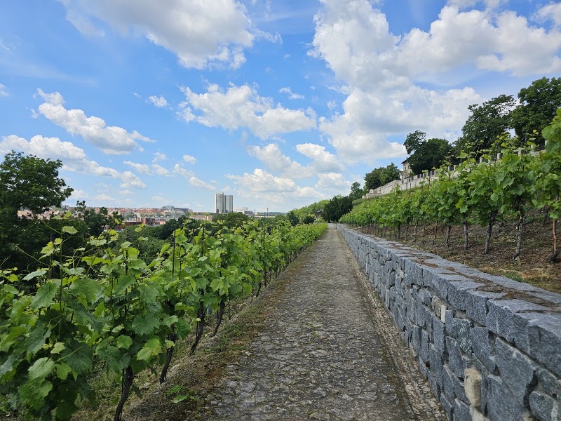 Havlíčkovy sady - Havlíčkovy sady Vinohrady, 120 00 Praha 2, Czechia