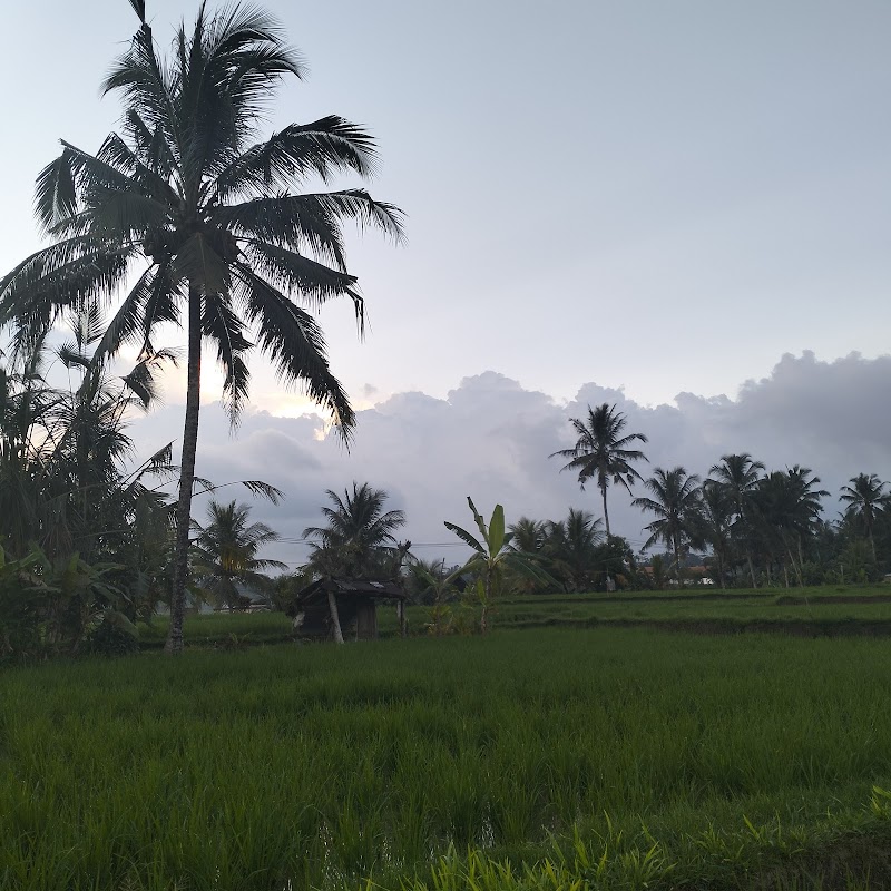 Puri Tangsub - Puri Tangsub, Jl. Raya Sebali, Keliki, Kec. Tegallalang, Kabupaten Gianyar, Bali 80561, Indonesia