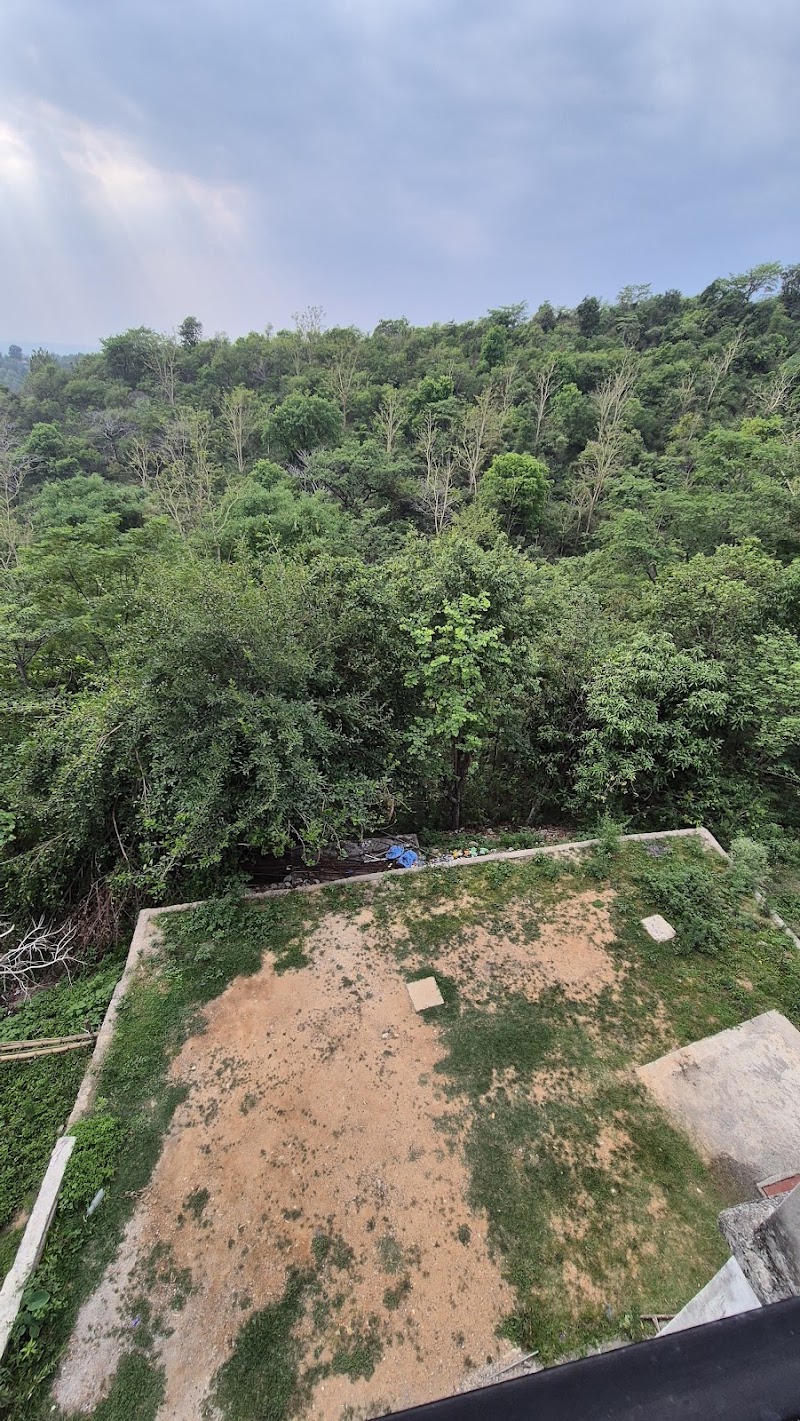 Asha home stay - Asha home stay V.p.o, Sarah Rd, tehsil, Dharamshala, Gujrehra, Himachal Pradesh 176215, India
