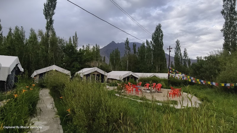 Nubra Delight Camp And Resort - Nubra Delight Camp And Resort, Hunder, Nubra Valley, Leh Ladakh, Jammu and Kashmir Valley, India, 5H3G+2RM, Leh, 194101