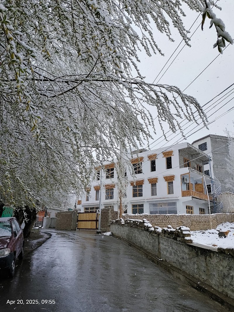 Hotel Honeybee - Hotel Honeybee Main, Tokpo road, opp. Hotel Padma, shenam, Leh, 194101