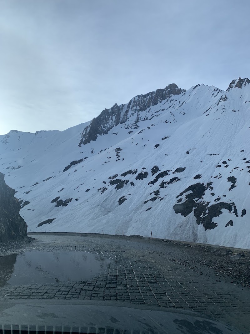 Zojila Pass - Zojila Pass, Forest Block 191202