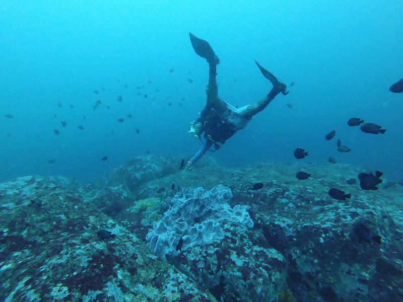 Weligama Bay Dive Center , PADI 5 Star Dive Resort - Weligama Bay Dive Center , PADI 5 Star Dive Resort, No.126, Kapparatota, Weligama 81700, Sri Lanka