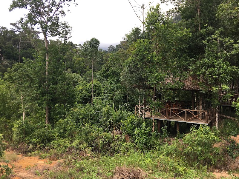 Phu Quoc National Park - Phu Quoc National Park, 82JJ+M57, Phu Quoc, An Giang, Vietnam