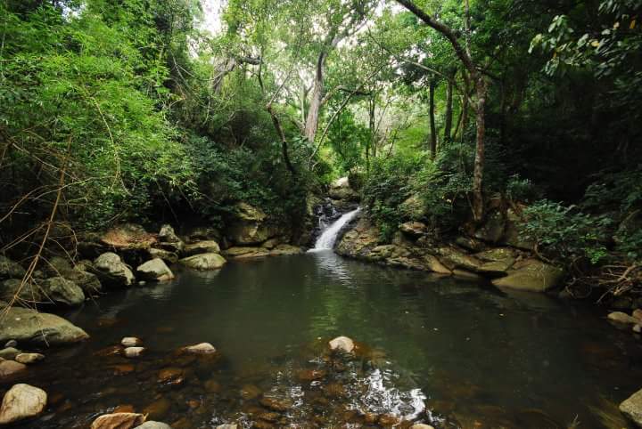 Glen View Jungle Resort - Glen View Jungle Resort, Bokkapuram, Masinagudi, Sholur, Tamil Nadu 643223, India