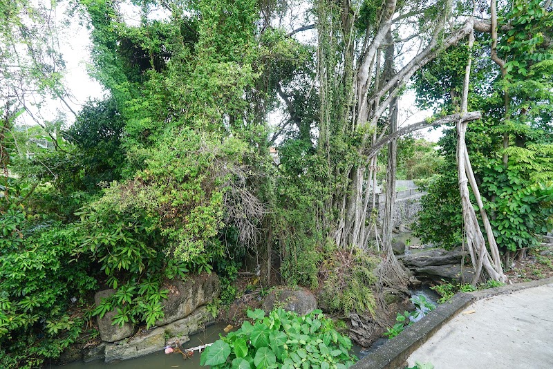 Villa Suksma Canggu - Villa Suksma Canggu JI. Pantai Batu Mejan, JI Jl. Canggu Padang Linjong No.74E, Canggu, Kec. Kuta Utara, Kabupaten Badung, Bali 80351, Indonesia