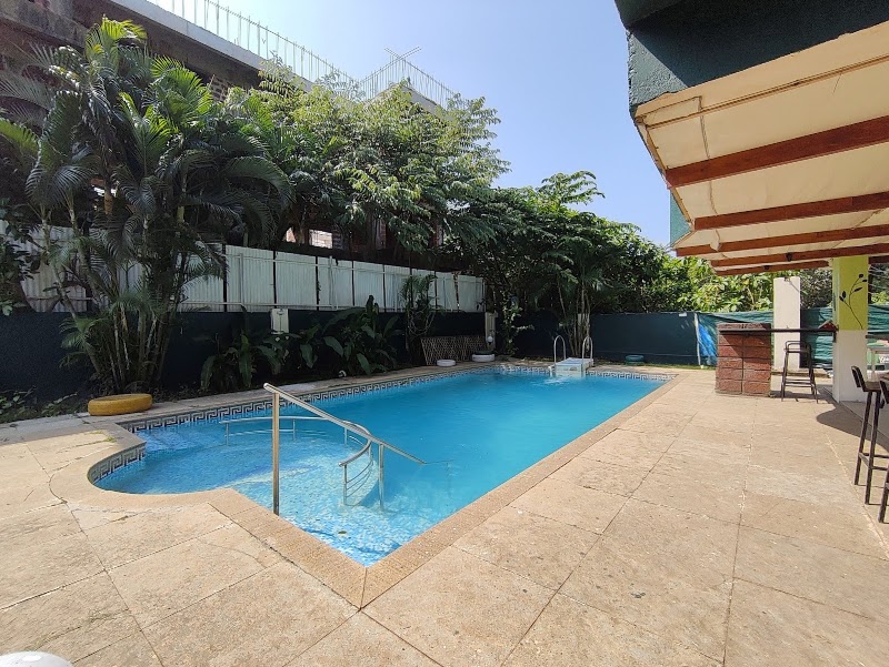 Jungle by sturmfrei Vagator | Poolside Boutique Stays - Jungle by sturmfrei Vagator | Poolside Boutique Stays Chapora Road, beside IBIS Styles, Chapora, Vagator, Goa 403509, India
