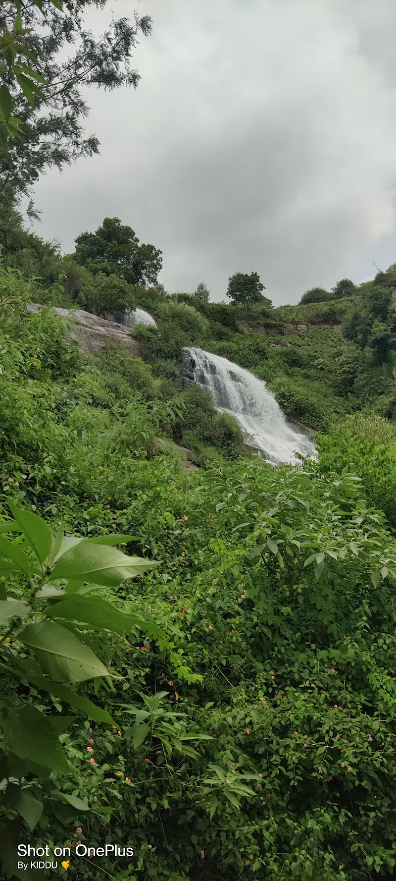 Uyilatty water falls view point - Uyilatty water falls view point FRFM+MC, Unnamed Road, Kukkal, Tamil Nadu 643217, India