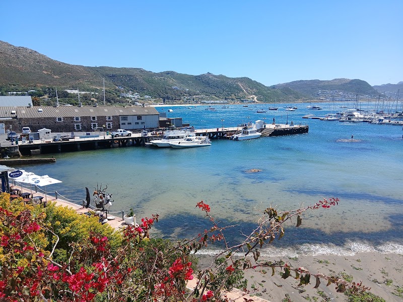 Fran's Place - Fran's Place, 111 Jubilee St, Simon's Town, Cape Town, 7995, South Africa