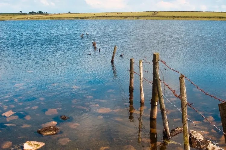 Dozmary Pool - Dozmary Pool Dozmary Pool, United Kingdom